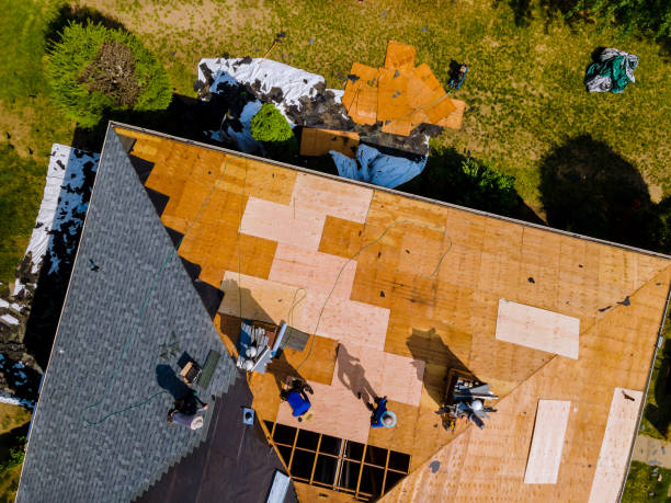 Best Storm Damage Roof Repair  in West Crossett, AR