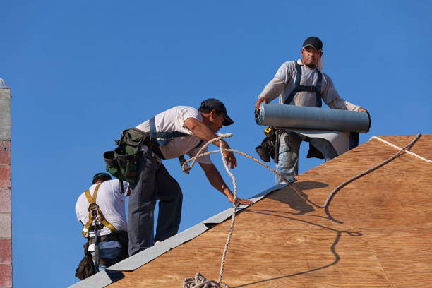Best Roof Gutter Cleaning  in West Crossett, AR